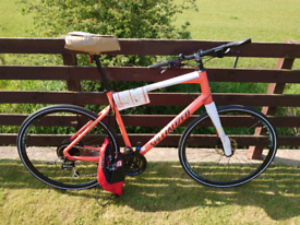 specialized used for sale
